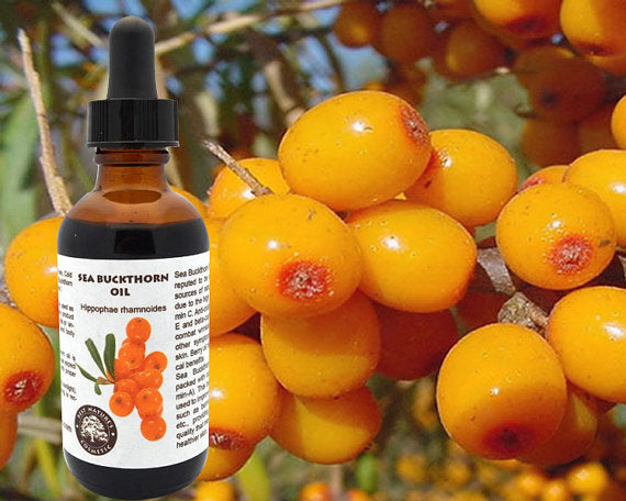 100% Pure Sea Buckthorn Fruit, Berry Oil Cold Pressed