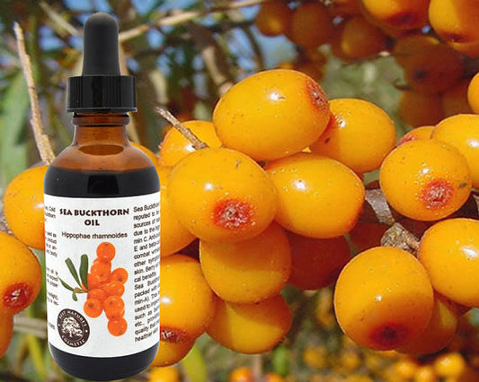 100% Pure Sea Buckthorn Fruit Berry Oil Cold Pressed