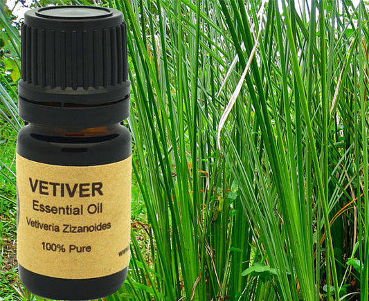 Vetiver Essential Oil 5ml, 10ml or 15ml for Relaxation