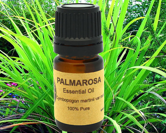 Organic Palmarosa Essential Oil 15ml - Floral Aroma