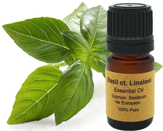 Basil CT. Linalool Essential Oil 10 ml or 15 ml