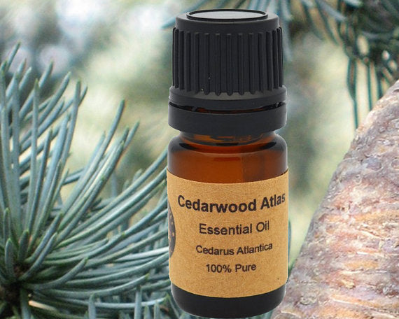 Cedarwood Atlas Essential Oil 15 ml for Relaxation and Balance