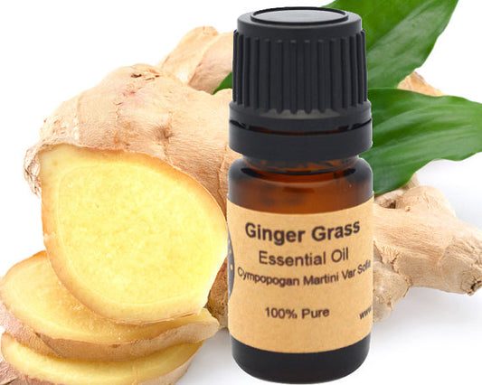 Ginger Essential Oil 15 ml for Aromatherapy and Relaxation