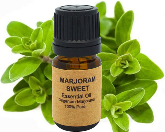 Marjoram Essential Oil (Sweet) 15ml for Aromatherapy Bliss