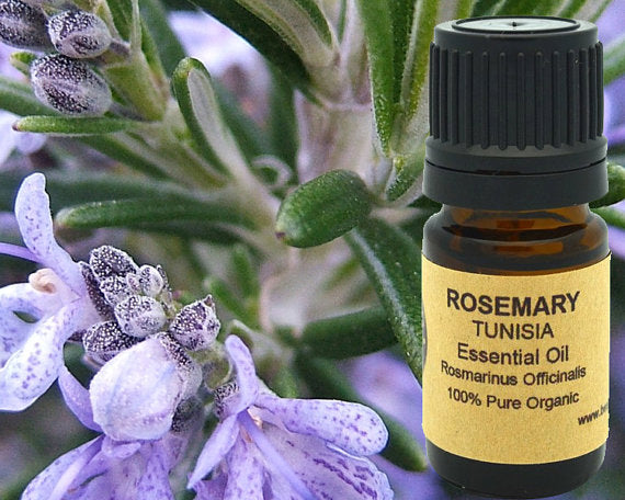 Organic Rosemary Essential Oil 15ml - Fresh and Herbal Aroma