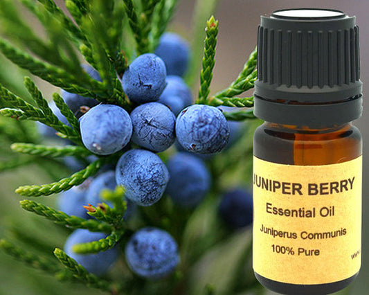 Juniper Berry Essential Oil 15ml for Aromatherapy Bliss