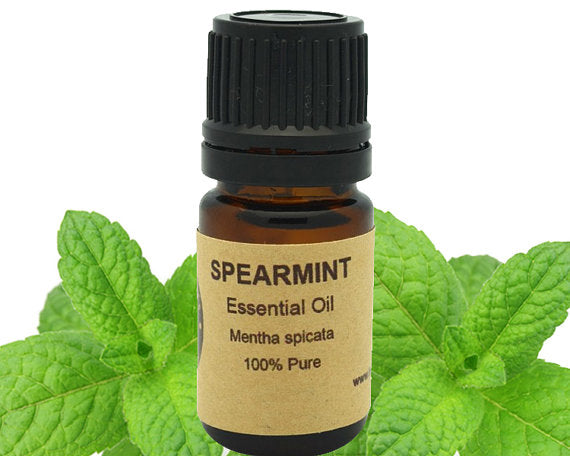 Spearmint Essential Oil 15 ml for Fresh Aromatherapy