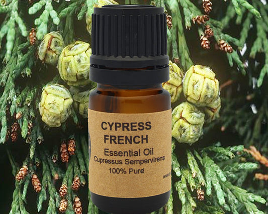 Cypress Essential Oil 10ml, 15ml for Purifying Aroma