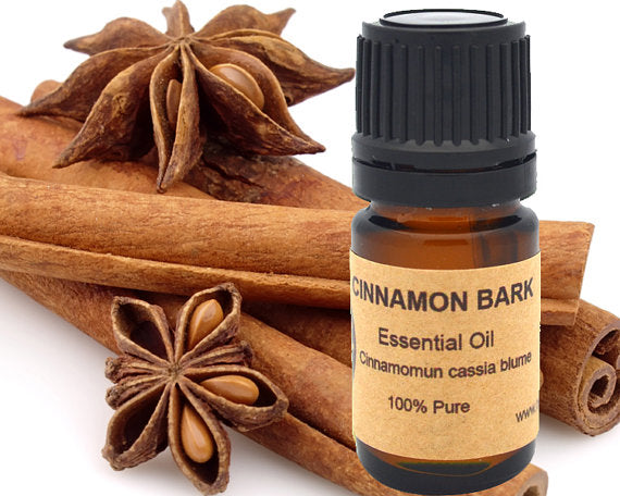 Cinnamon Bark Essential Oil 15 ml for Aromatherapy Bliss