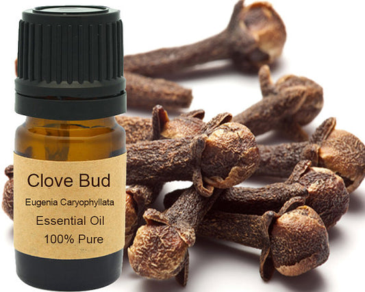 Clove Bud Essential Oil 15ml for Aromatherapy and Blends