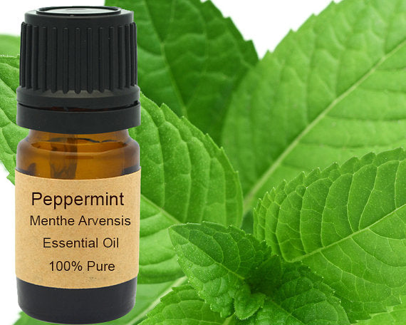 Peppermint Essential Oil 15ml for Invigorating Aroma