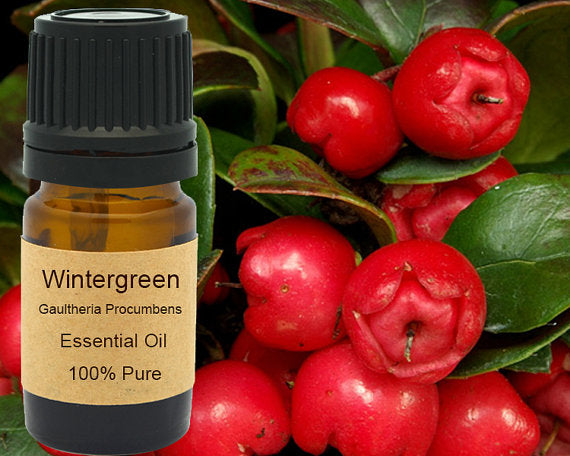 Wintergreen Essential Oil 15ml for Aromatherapy Bliss