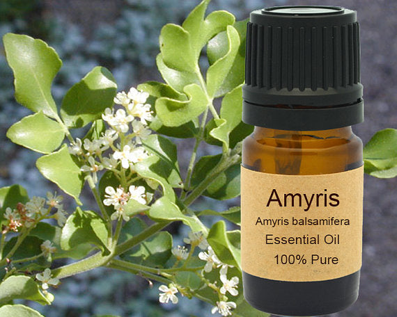 Amyris Essential Oil 15ml - Warm Woody Aroma for Relaxation