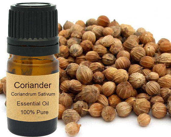 Coriander Essential Oil 15ml for Aromatherapy Bliss