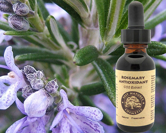 Natural Rosemary Antioxidant - Premium Oil Extract