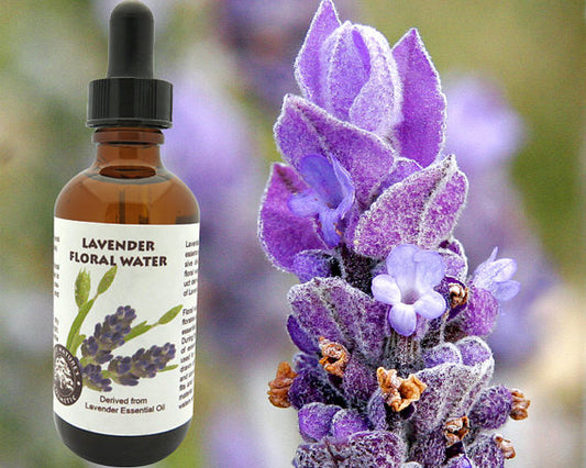 Lavender Floral Water (Hydroflorate or Hydrosol) for Skin Care