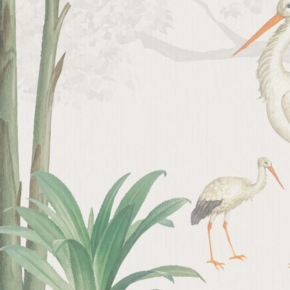 Storks in the jungle