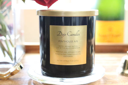 Penthouse a/B (Cire Trudon Spiritus Sancti Dupe) Candle