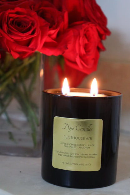 Penthouse a/B (Cire Trudon Spiritus Sancti Dupe) Candle