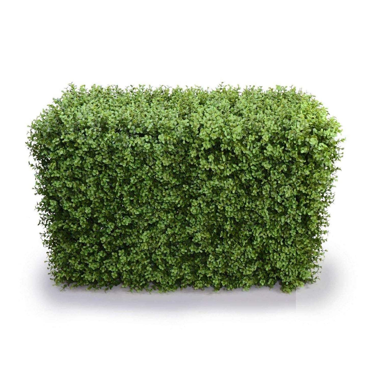 Portable Pittosporum Artificial Hedge UV Resistant 1m x 50cm