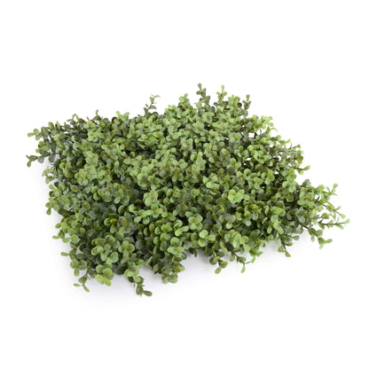 Portable Pittosporum Artificial Hedge UV Resistant 1m x 50cm