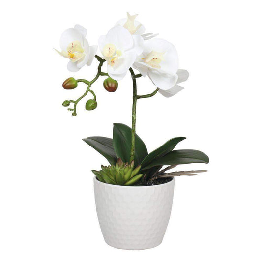 Potted Single Stem White Phalaenopsis Orchid With Decorative Pot 35cm - Lifelike Elegance for Your Home