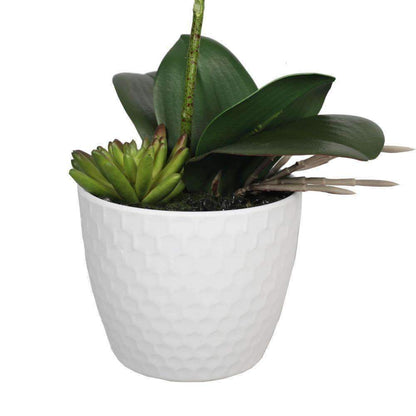 Potted Single Stem White Phalaenopsis Orchid With Decorative Pot 35cm - Lifelike Elegance for Your Home