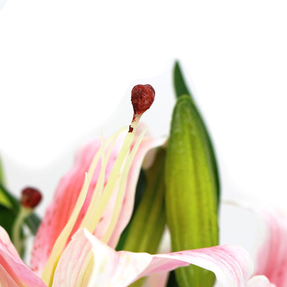 Premium Faux Pink Lily in Glass Vase Artificial Arrangement