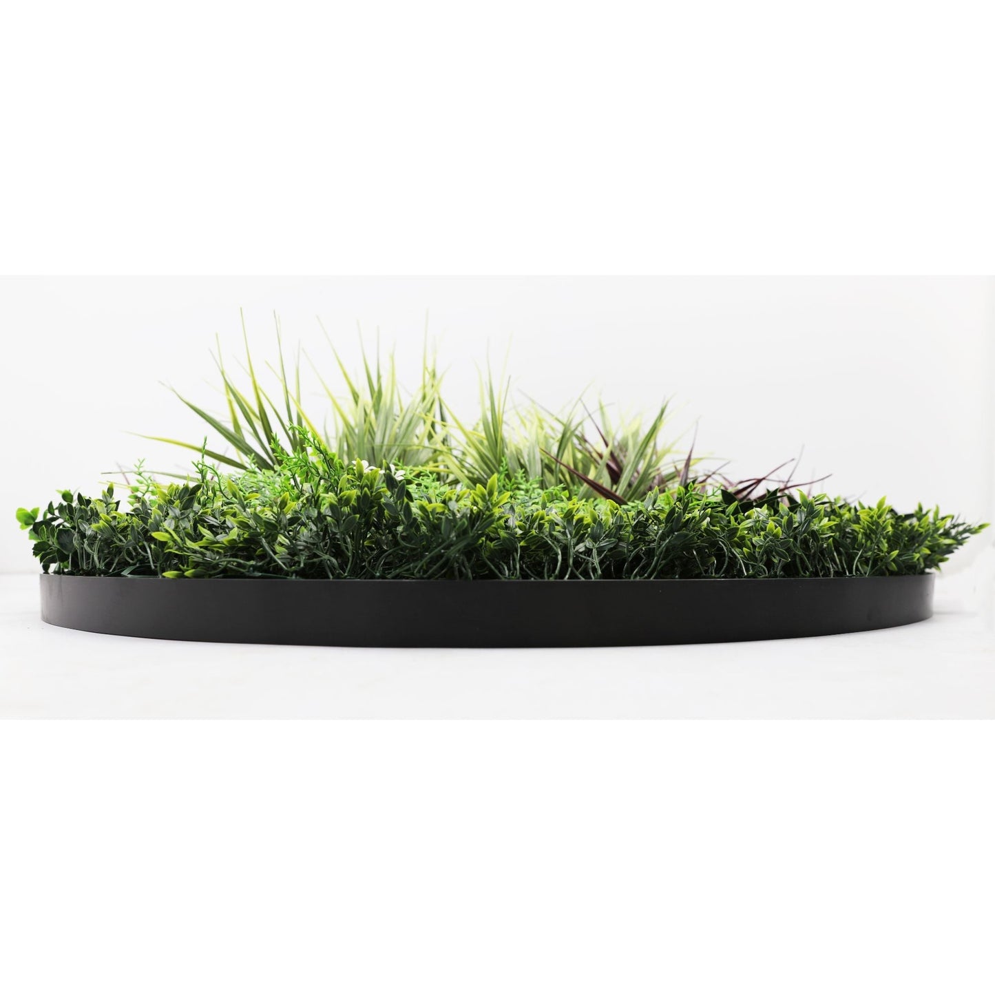 Slimline Artificial Green Wall Disc Art 100cm Grassy Fern UV Resistant Black