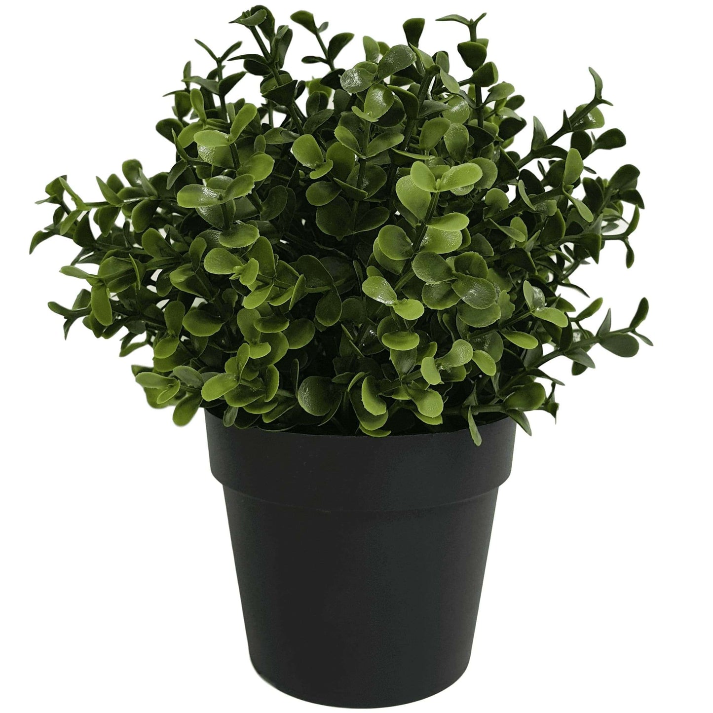 Small Potted Artificial Buxus Plant UV Resistant 20cm Decor