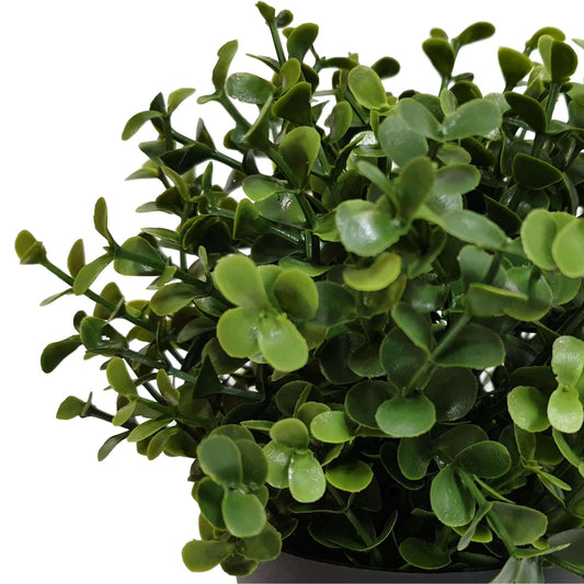 Small Potted Artificial Buxus Plant UV Resistant 20cm Decor