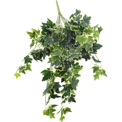 White Tipped Hanging Artificial Ivy Bush - 100cm Long