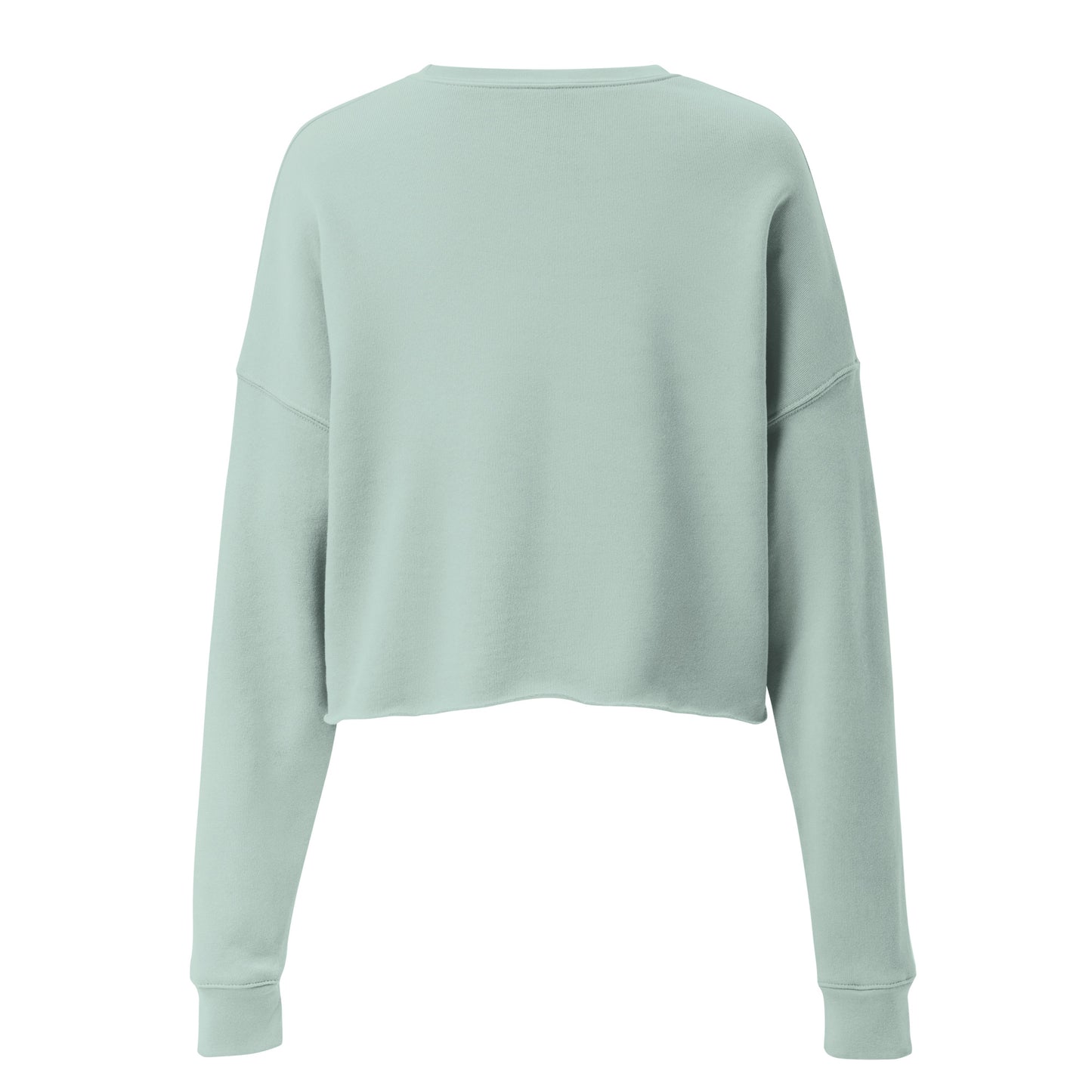 Curiosity Crew Crop Sweatshirt  - Korea  - StyleMZ