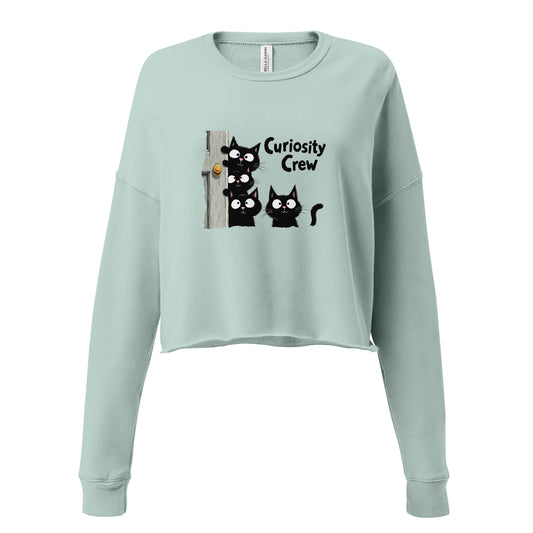 Curiosity Crew Crop Sweatshirt  - Korea  - StyleMZ