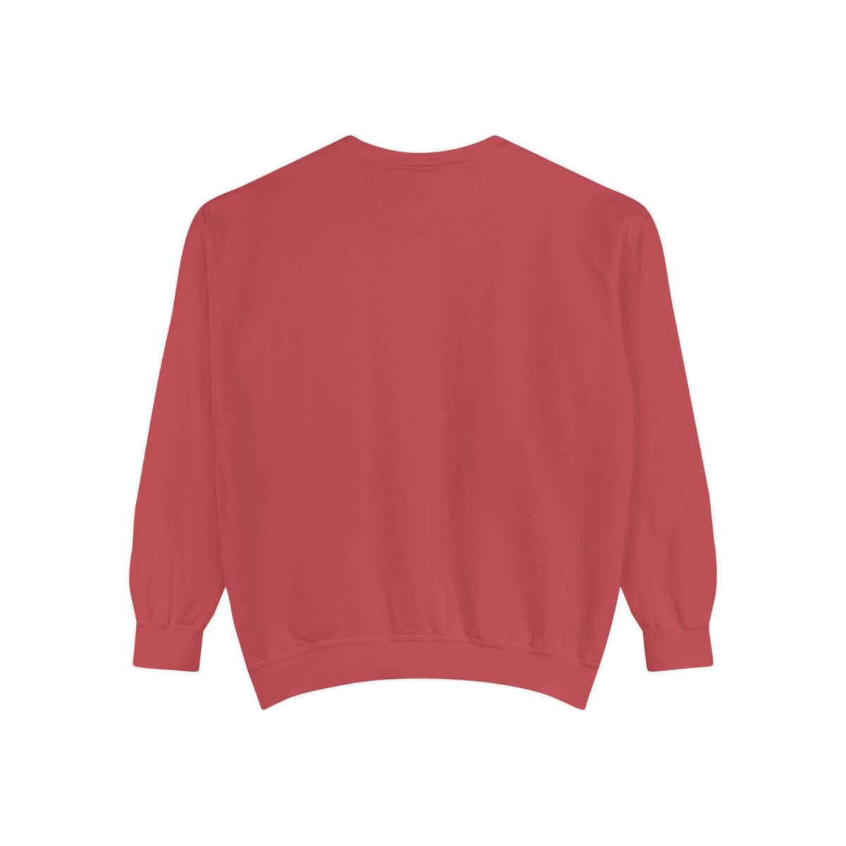 Take me home Unisex Garment-Dyed Sweatshirt - Image 34