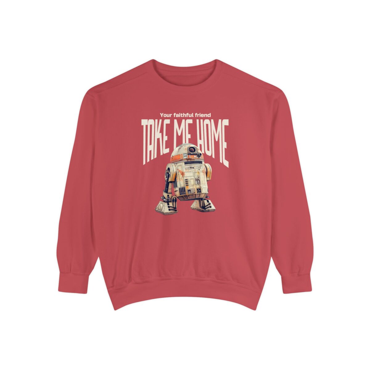 Take me home Unisex Garment-Dyed Sweatshirt - Image 33