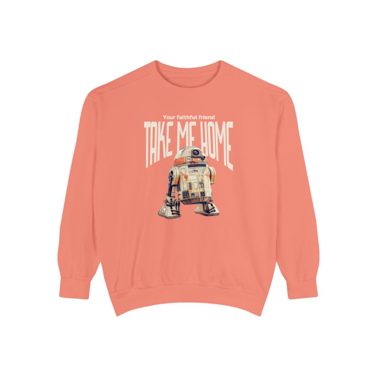 Take me home Unisex Garment-Dyed Sweatshirt
