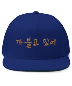 You're being silly Embroidery Flat Bill Cap - Stylish Korean Quote Design