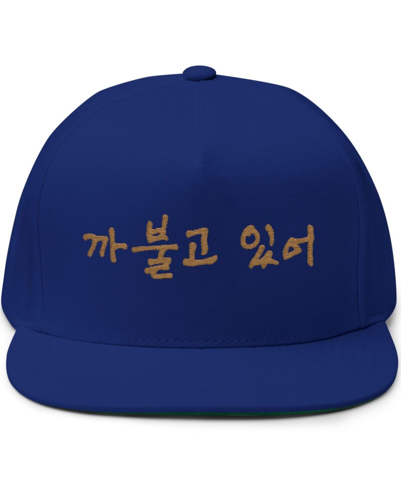 You're being silly Embroidery Flat Bill Cap - Stylish Korean Quote Design