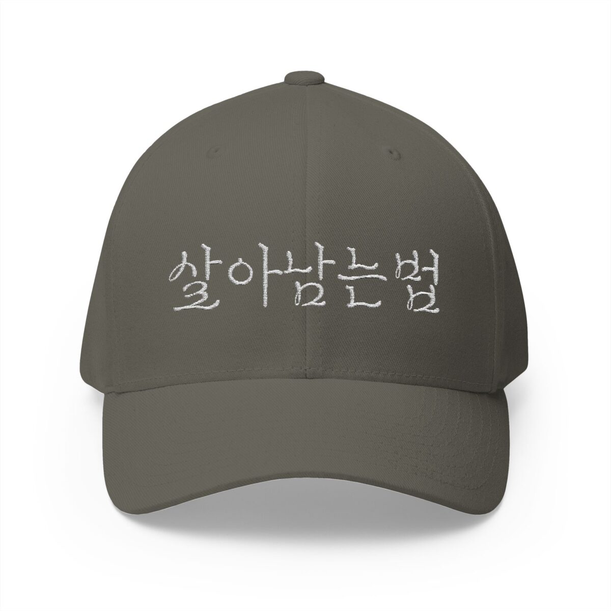 GO FORWARD Embroidered Korean Phrase Cap - Stylish Closed-Back Structured Hat for Everyday Wear - Image 9