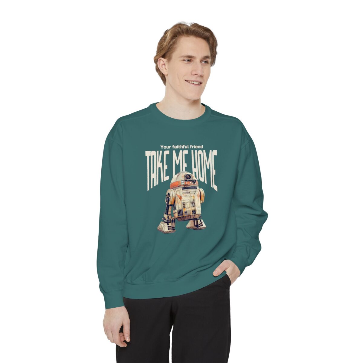 Take me home Unisex Garment-Dyed Sweatshirt - Image 19