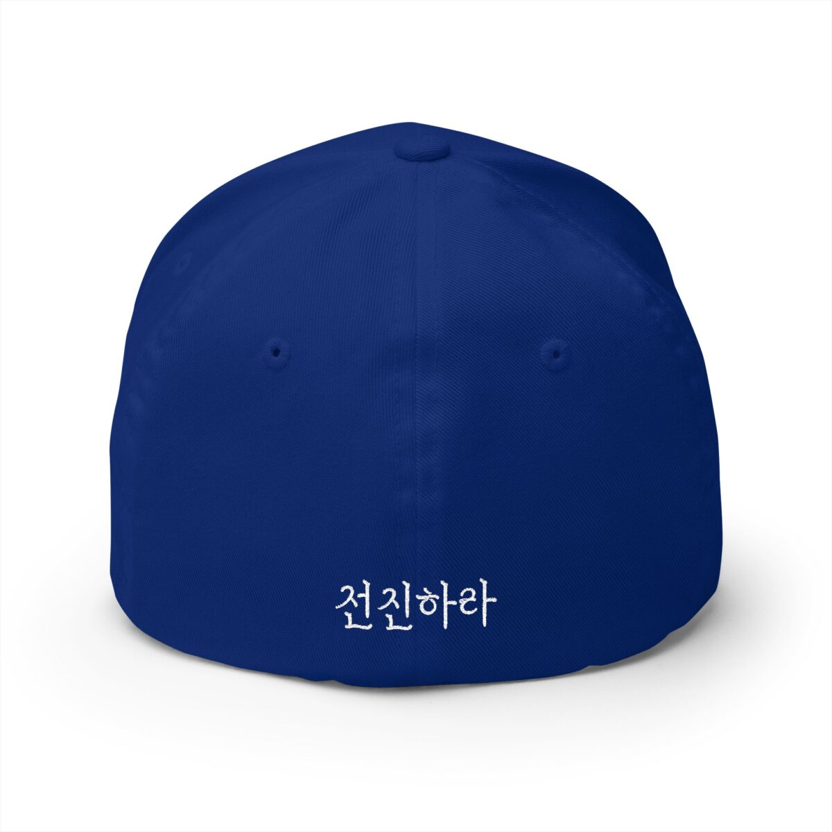 GO FORWARD Embroidered Korean Phrase Cap - Stylish Closed-Back Structured Hat for Everyday Wear - Image 14