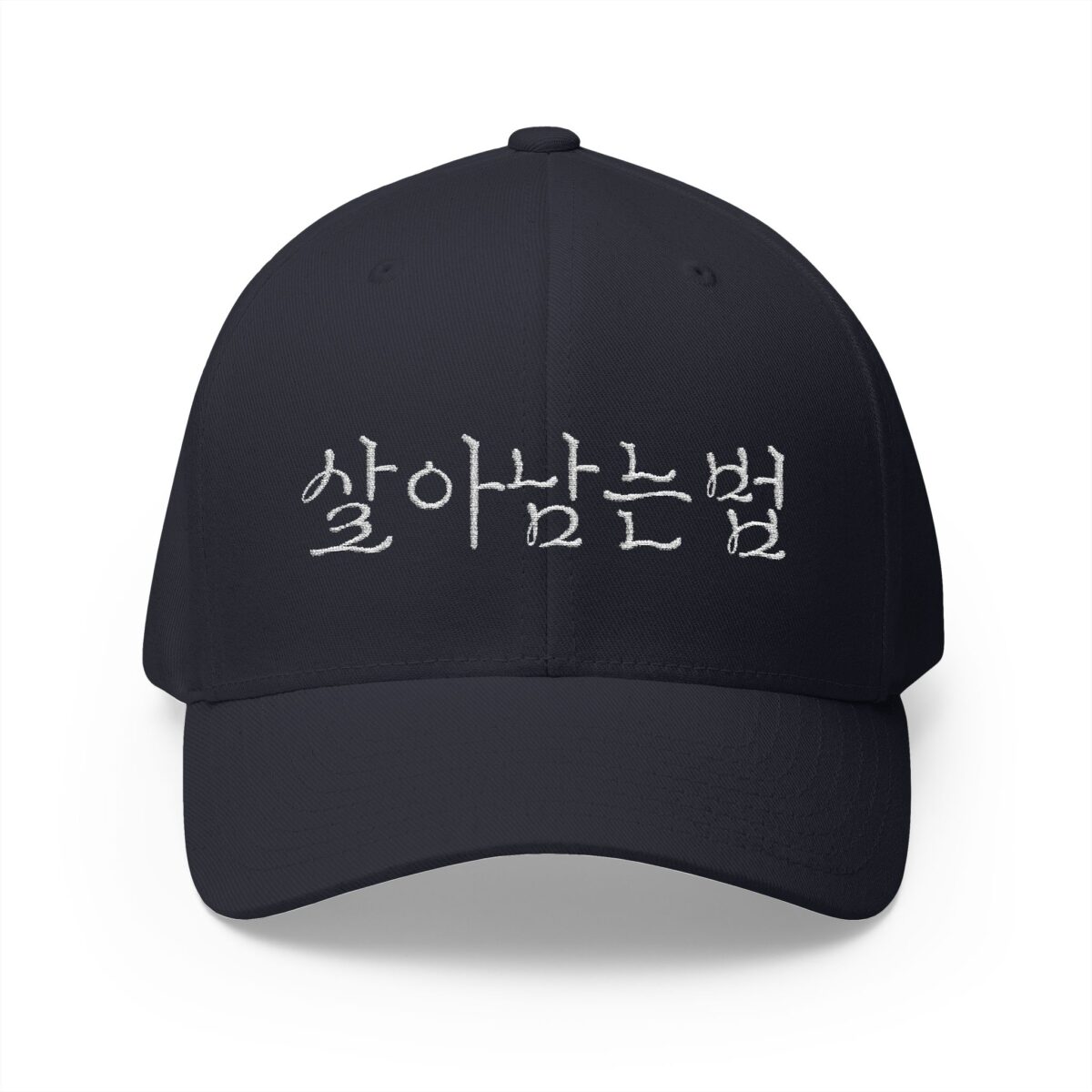GO FORWARD Embroidered Korean Phrase Cap - Stylish Closed-Back Structured Hat for Everyday Wear - Image 17