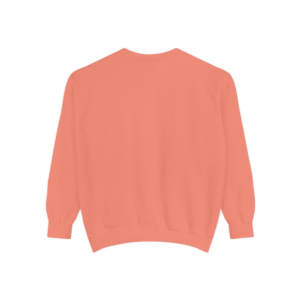 Take me home Unisex Garment-Dyed Sweatshirt - Image 2