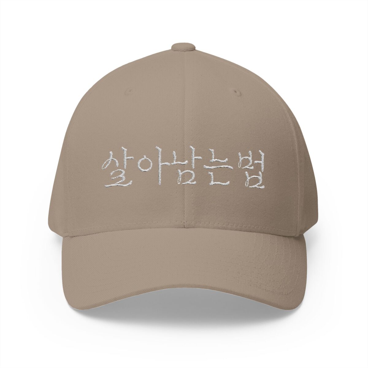 GO FORWARD Embroidered Korean Phrase Cap - Stylish Closed-Back Structured Hat for Everyday Wear - Image 5