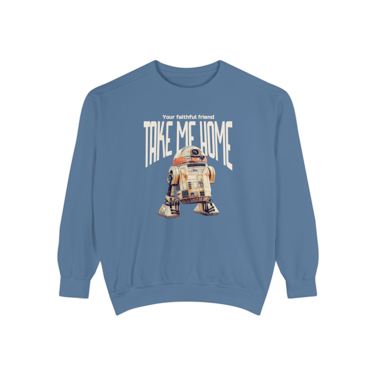 Take me home Unisex Garment-Dyed Sweatshirt - Image 21
