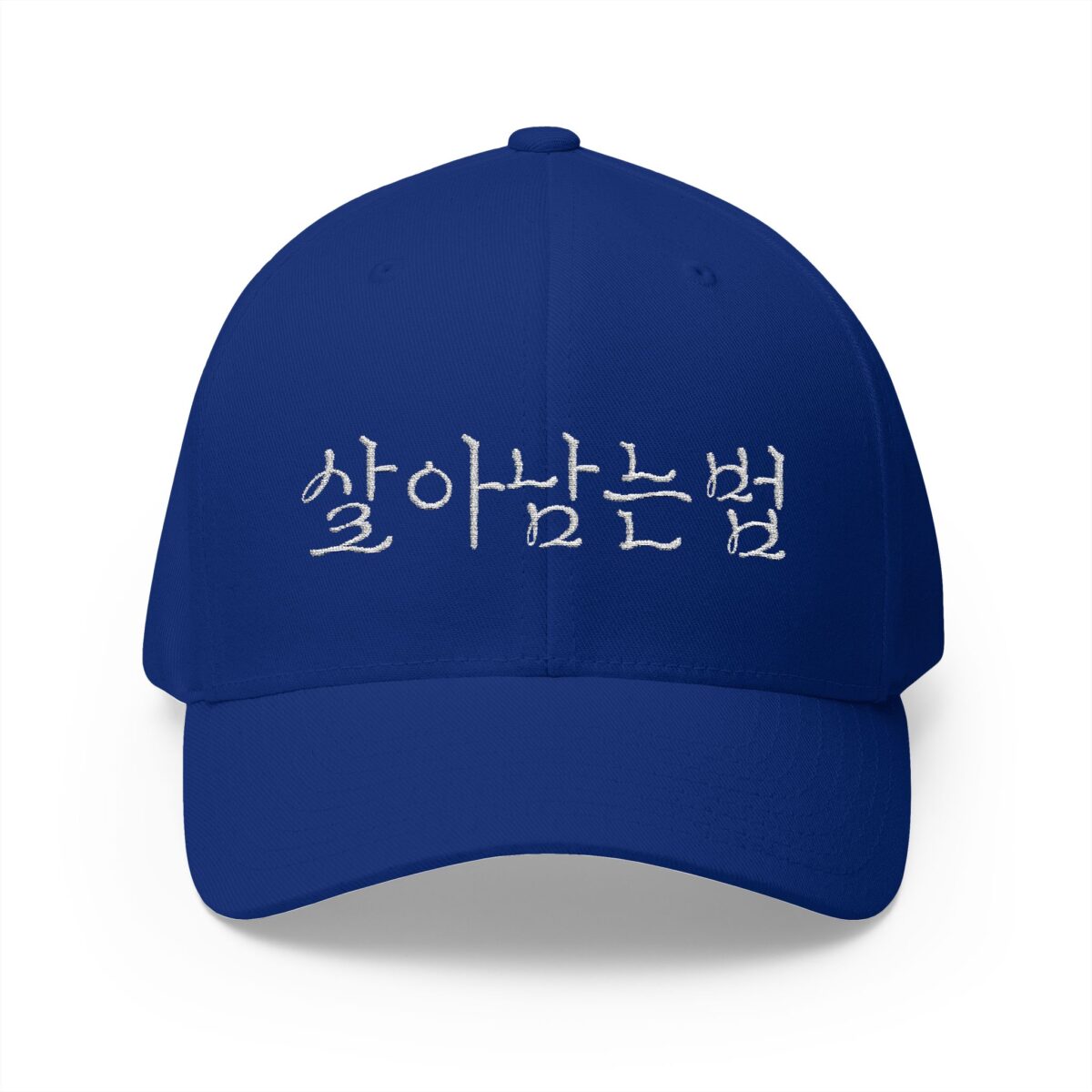 GO FORWARD Embroidered Korean Phrase Cap - Stylish Closed-Back Structured Hat for Everyday Wear - Image 13