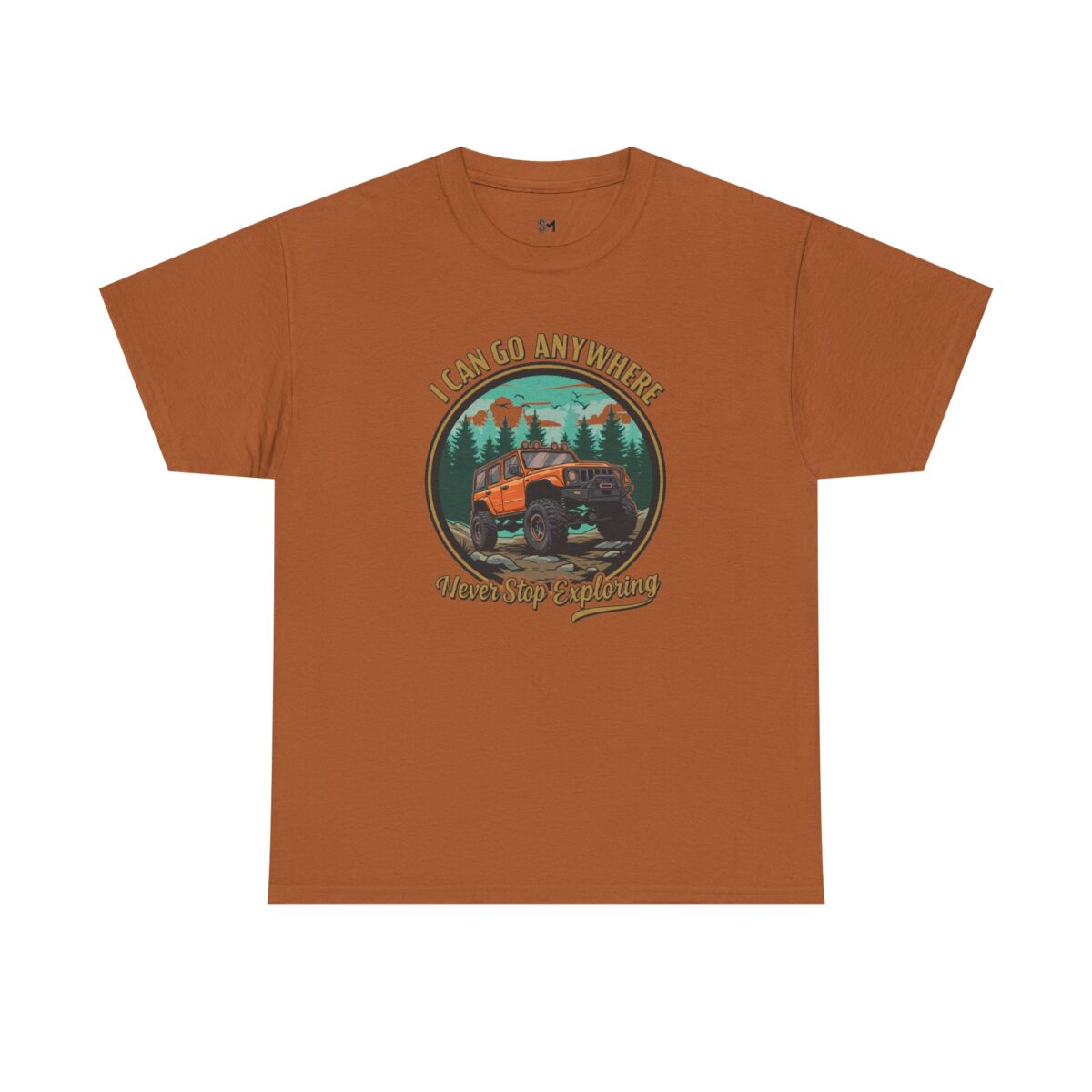 I can go anywhere Unisex Heavy Cotton Tee - Image 9
