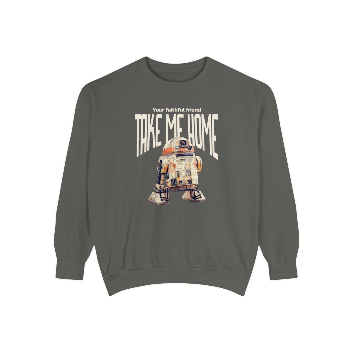 Take me home Unisex Garment-Dyed Sweatshirt - Image 5