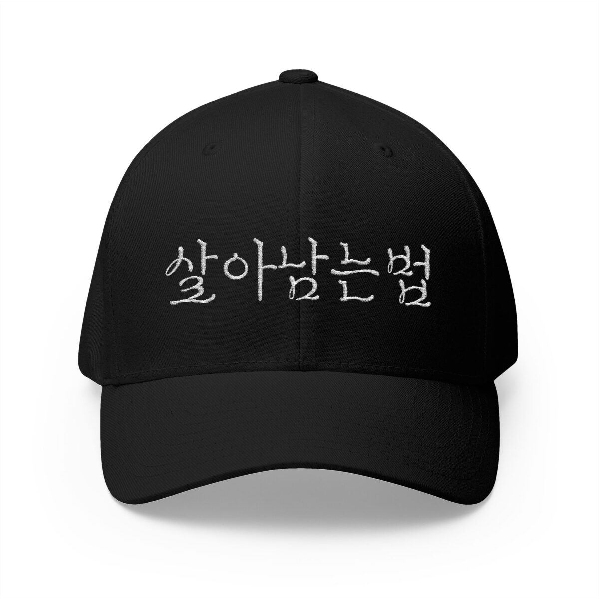 GO FORWARD Embroidered Korean Phrase Cap - Stylish Closed-Back Structured Hat for Everyday Wear - Image 21